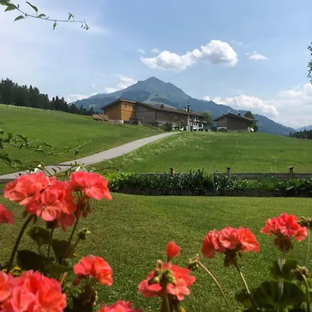 Wörgötter Evi